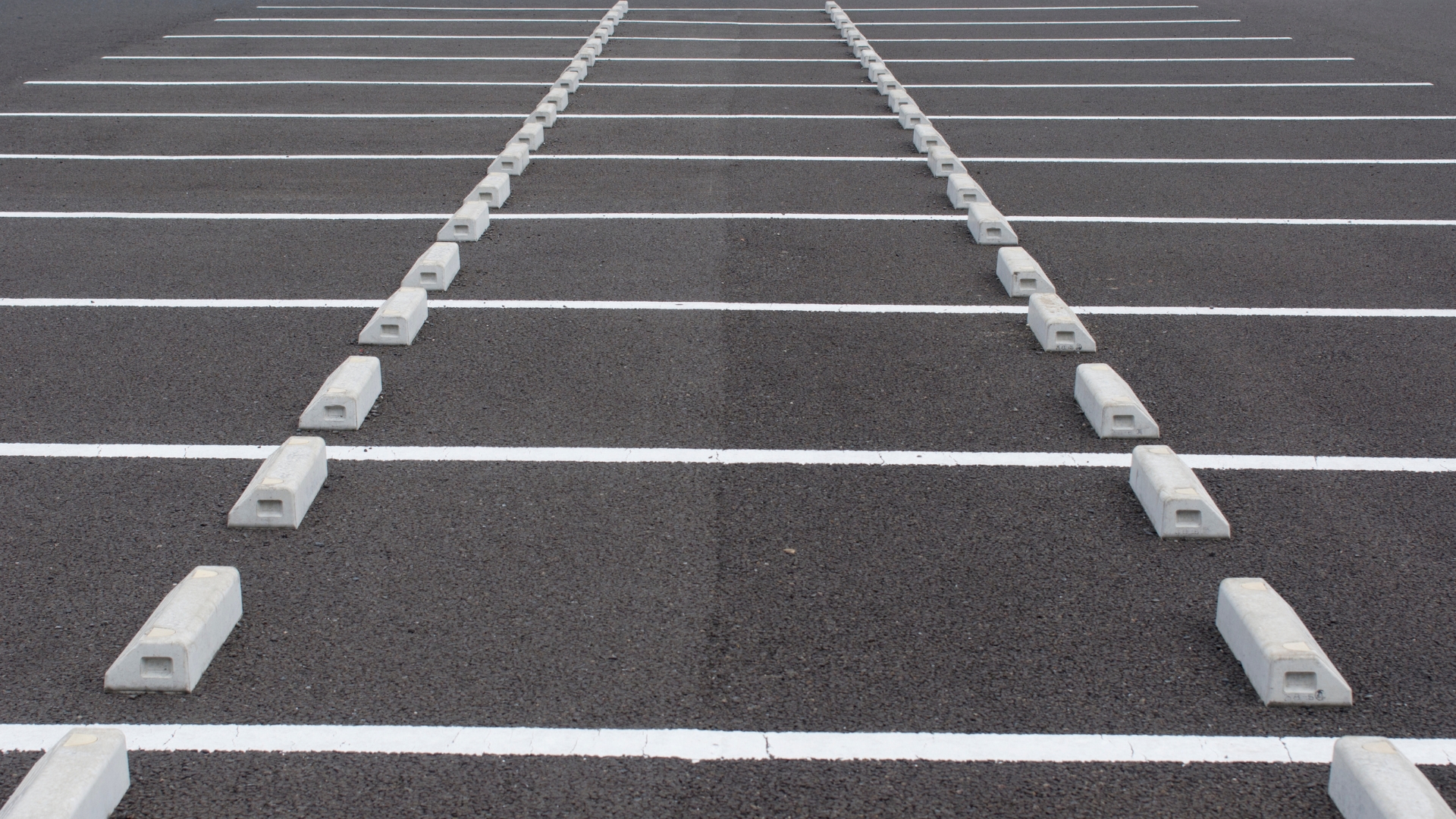 A parking lot with a row of parking meters